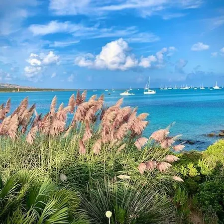 Luxury House With Sea View