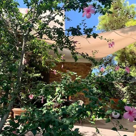 Luxury House With Sea View