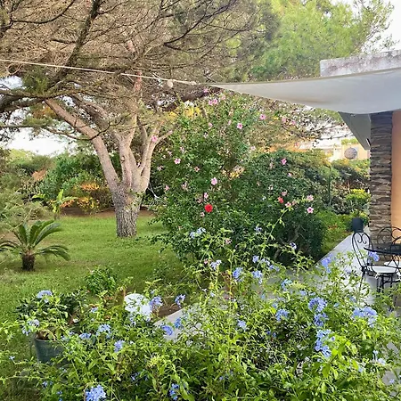 Villa Luxury House With Sea View