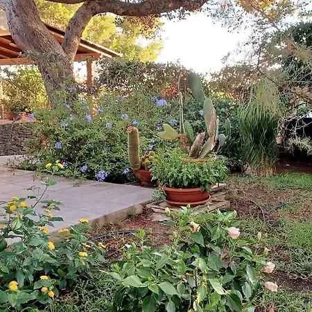 Villa Luxury House With Sea View