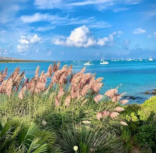 Luxury House With Sea View