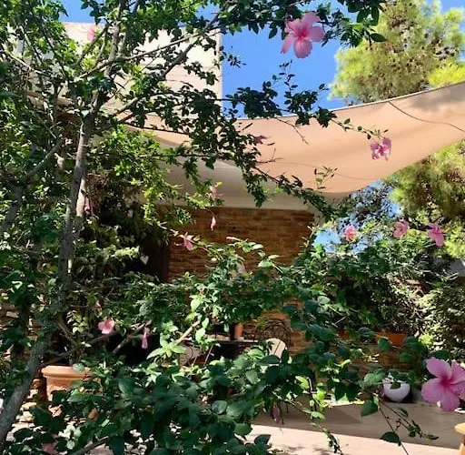 Luxury House With Sea View