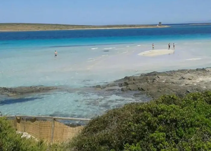 Villa Luxury House With Sea View Stintino