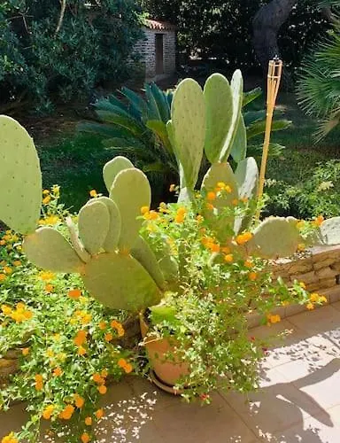 Luxury House With Sea View Villa Stintino