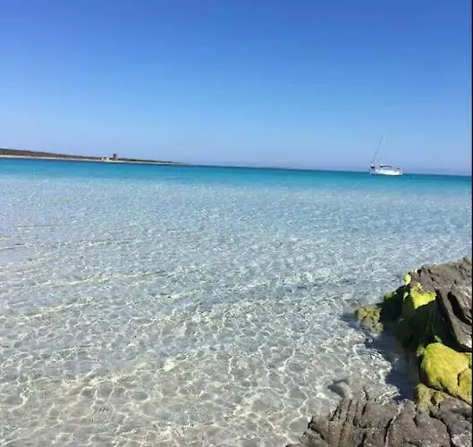 Luxury House With Sea View * Stintino