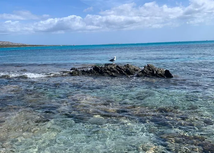 Luxury House With Sea View